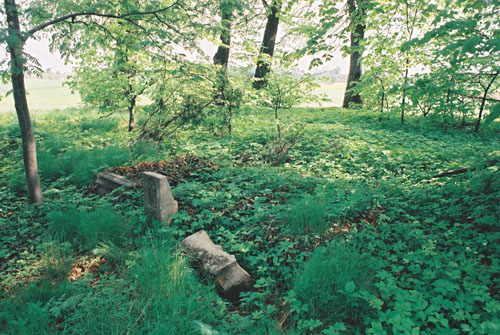 Albrechtsdorf